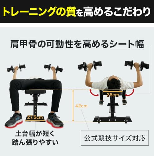 Amazon.co.jp: STEADY: ホームジム / トレーニングベンチ